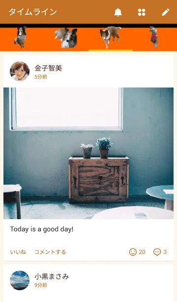 [LINE着せ替え] シェットランドシープドッグ1の画像4