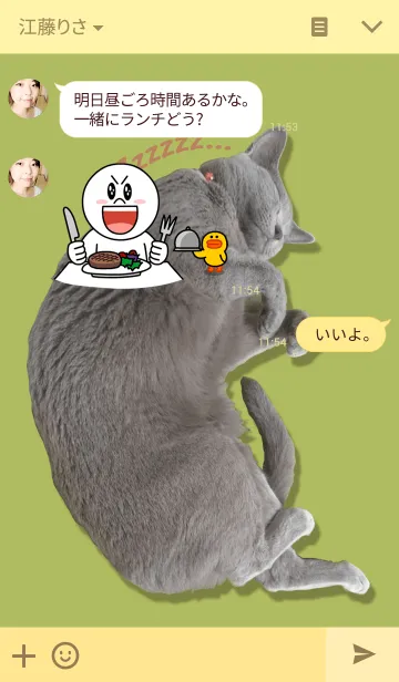 [LINE着せ替え] ねこきせかえ【実写ロシアンブルー】の画像3