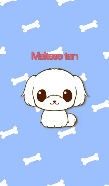 マルチーズたんの着せ替えメイン画像