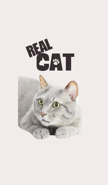 REAL CATの着せ替えメイン画像