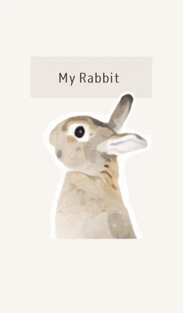 [LINE着せ替え] My Rabbit -実写風うさぎ-の画像1