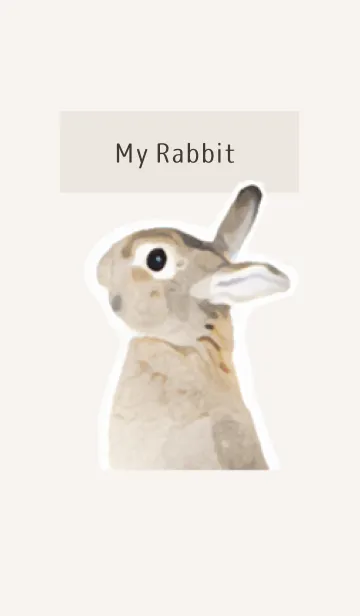 My Rabbit -実写風うさぎ-の着せ替えメイン画像