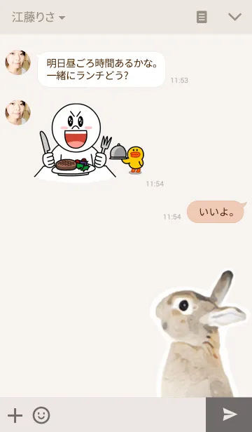 [LINE着せ替え] My Rabbit -実写風うさぎ-の画像3