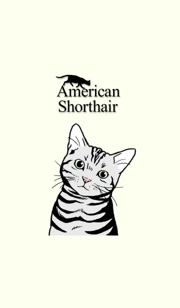 アメリカン・ショートヘアーの着せ替えメイン画像