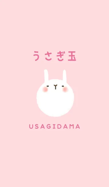 うさぎ玉の着せ替えメイン画像