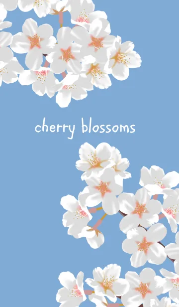 [LINE着せ替え] -桜-の画像1