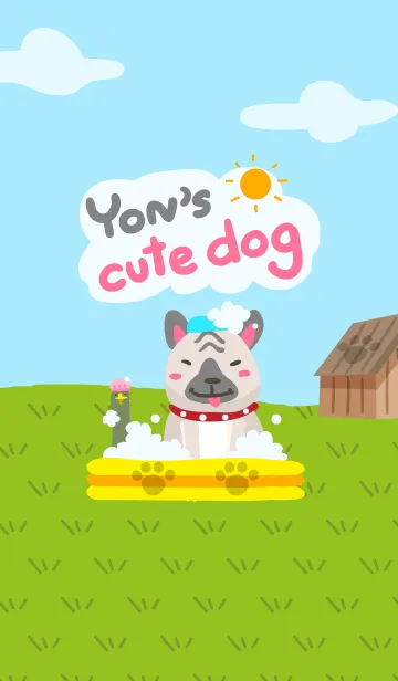 [LINE着せ替え] Yon's cute dogの画像1