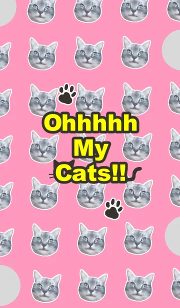 オーマイキャット！のLINE着せ替え