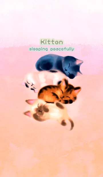 [LINE着せ替え] すやすや子ネコの画像1