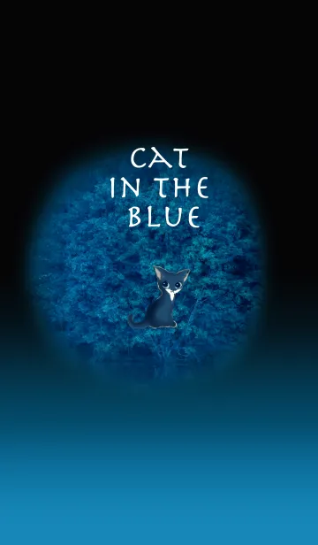 [LINE着せ替え] Cat in the blueの画像1