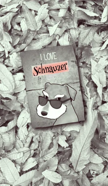 [LINE着せ替え] I love schnauzerの画像1