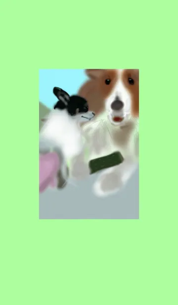 シェルティとチワワのLINE着せ替え