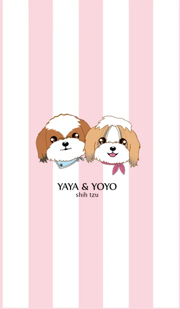 [LINE着せ替え] Shih Tzu Couple YaYa ＆ YoYoの画像1