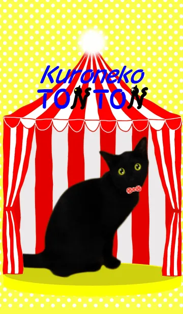[LINE着せ替え] 黒猫のトントンの画像1