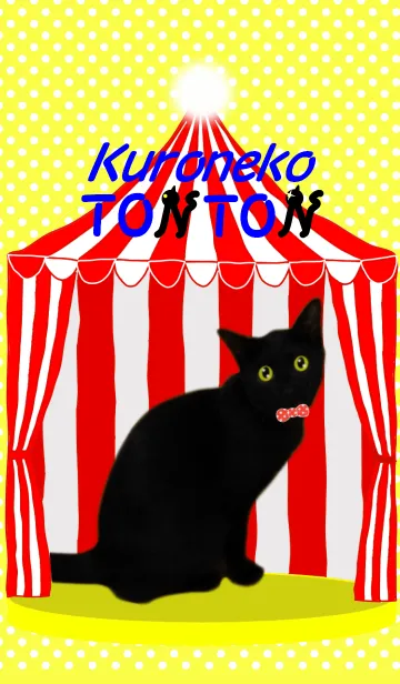 黒猫のトントンの着せ替えメイン画像