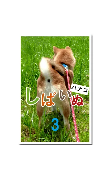 [LINE着せ替え] しばいぬハナコのきせかえ 3の画像1