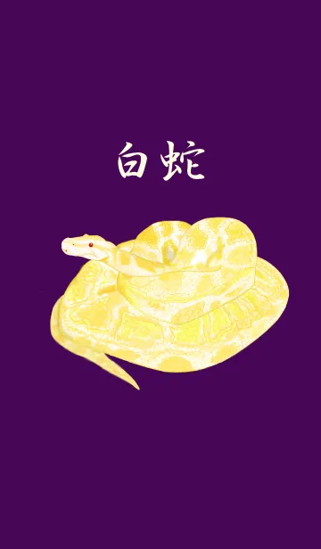 [LINE着せ替え] 白蛇の画像1