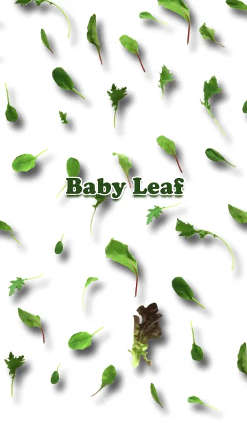[LINE着せ替え] Baby Leafの画像1
