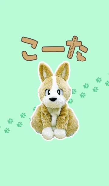 [LINE着せ替え] もふもふ！着せかえこーた【実写版】の画像1