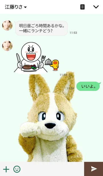 [LINE着せ替え] もふもふ！着せかえこーた【実写版】の画像3