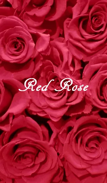 [LINE着せ替え] 薔薇着せかえ 赤×ピンクの画像1