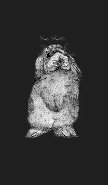 [LINE着せ替え] Cute ＆ Cute Rabbitの画像1
