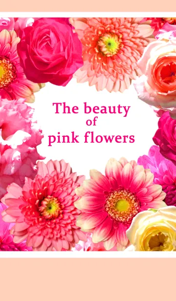 The beauty of pink flowersの着せ替えメイン画像