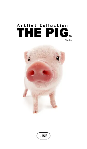[LINE着せ替え] THE PIGの画像1