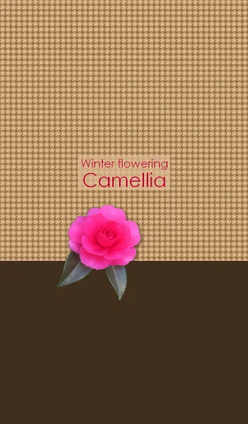 [LINE着せ替え] Winter flowering Camelliaの画像1