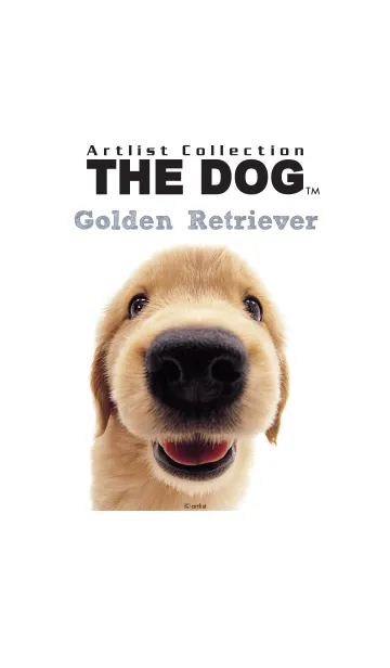 THE DOG ゴールデン • レトリーバーの着せ替えメイン画像