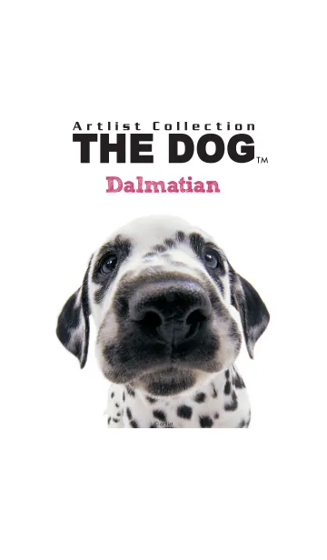 THE DOG ダルメシアンの着せ替えメイン画像