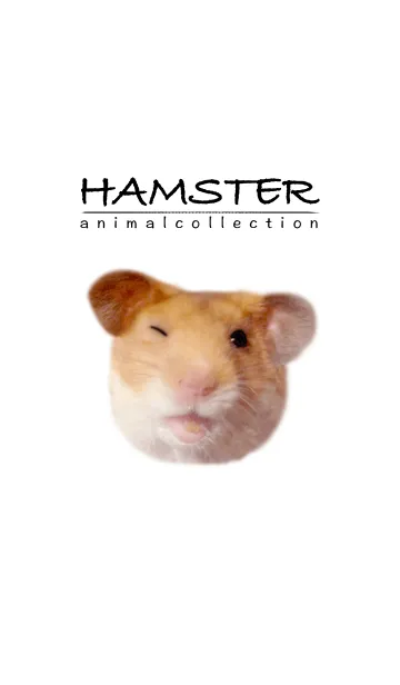 [LINE着せ替え] hamster-animal collection-の画像1