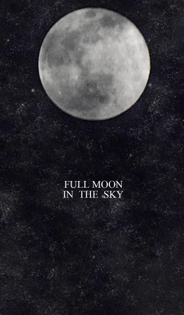[LINE着せ替え] Full moon In The Skyの画像1