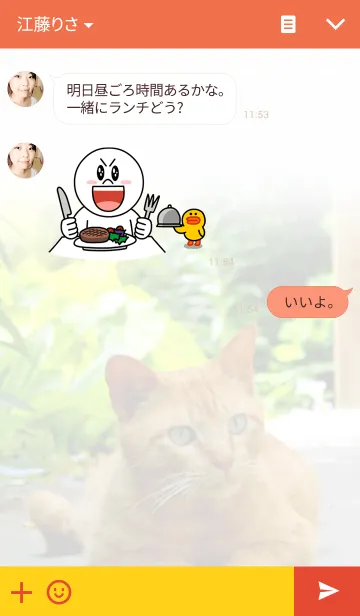 [LINE着せ替え] ねこがいる生活の画像3