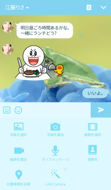 [LINE着せ替え] 蛙とあじさいの画像4