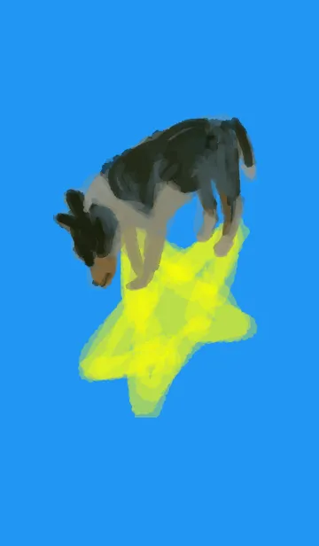 星と犬の着せ替えメイン画像