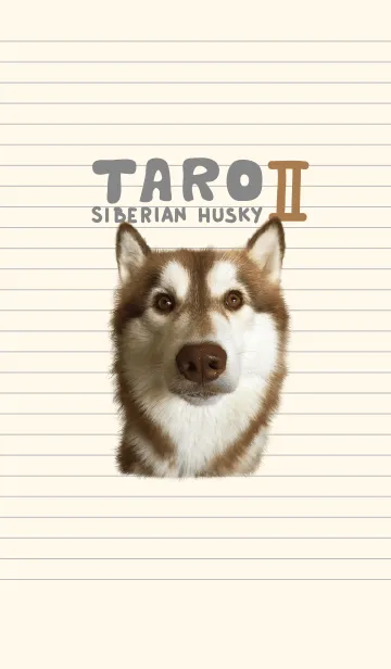 Taro Siberian Husky V.2の着せ替えメイン画像