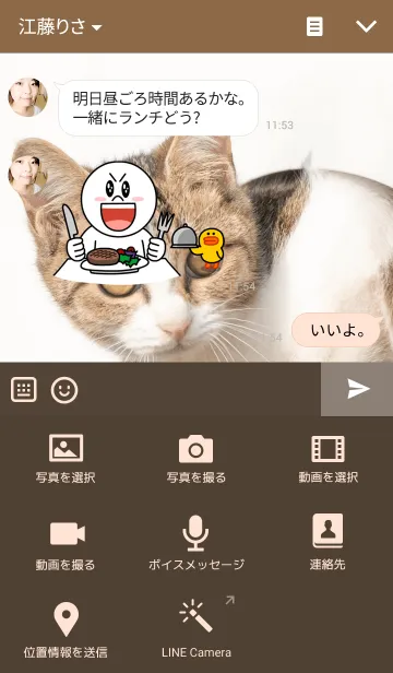 [LINE着せ替え] のら猫の画像4