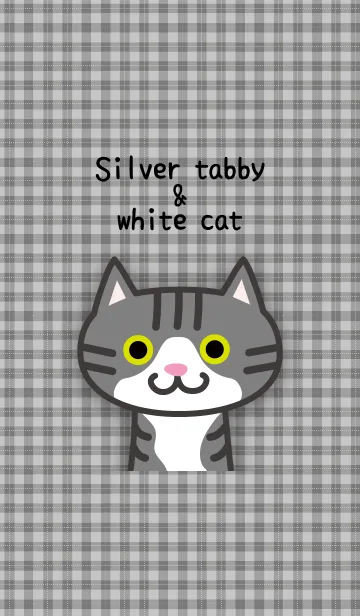 [LINE着せ替え] Silver tabby ＆ white catの画像1