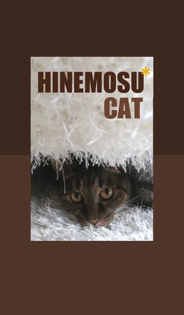 [LINE着せ替え] hinemosu*cat 2の画像1