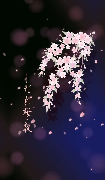 [LINE着せ替え] しだれ桜・夜の画像1