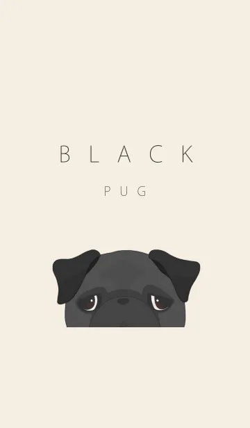 パグ【ブラック】のLINE着せ替え