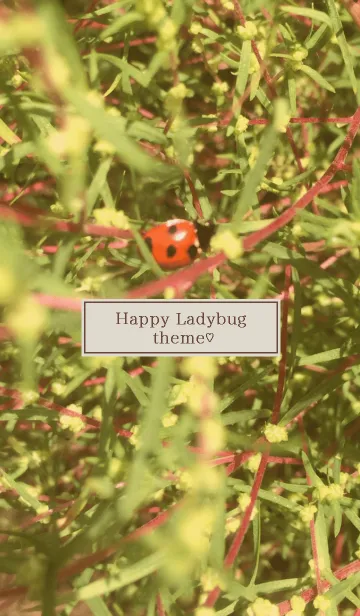 [LINE着せ替え] Happy Ladybug Theme...♡の画像1