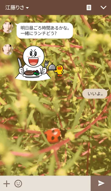 [LINE着せ替え] Happy Ladybug Theme...♡の画像3
