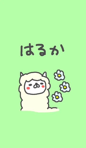 ＜はるかちゃん＞アルパカ着せ替えの着せ替えメイン画像