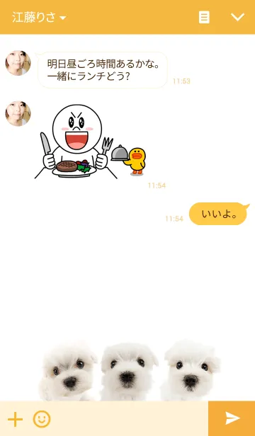 [LINE着せ替え] THE DOG マルチーズの画像3