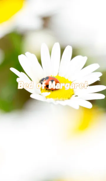 [LINE着せ替え] マーガレットのベッドの画像1