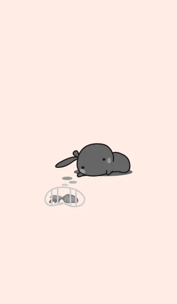rabbit staring-20の着せ替えメイン画像