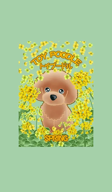 [LINE着せ替え] TOY POODLE トイプードル (春)の画像1