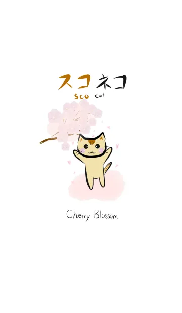 [LINE着せ替え] スコネコ Cherry Blossom Verの画像1